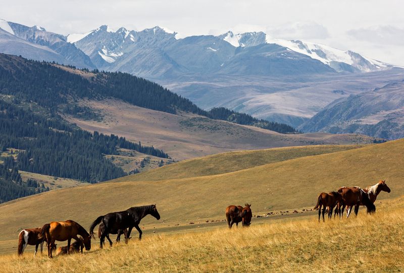 Bendra informacija apie Kazachstaną