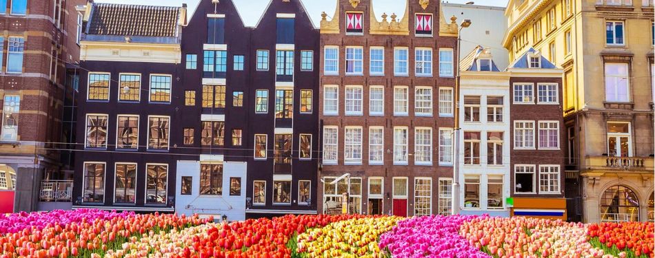 Olandija. Bendra informacija apie Olandiją