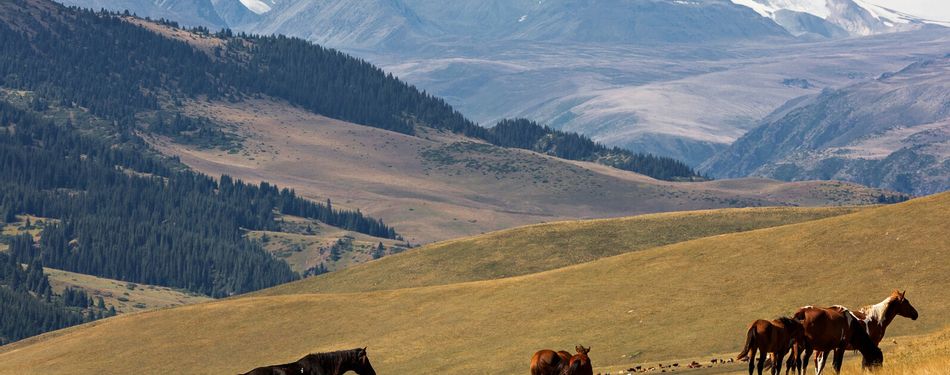 Ką pamatyti Kazachstane