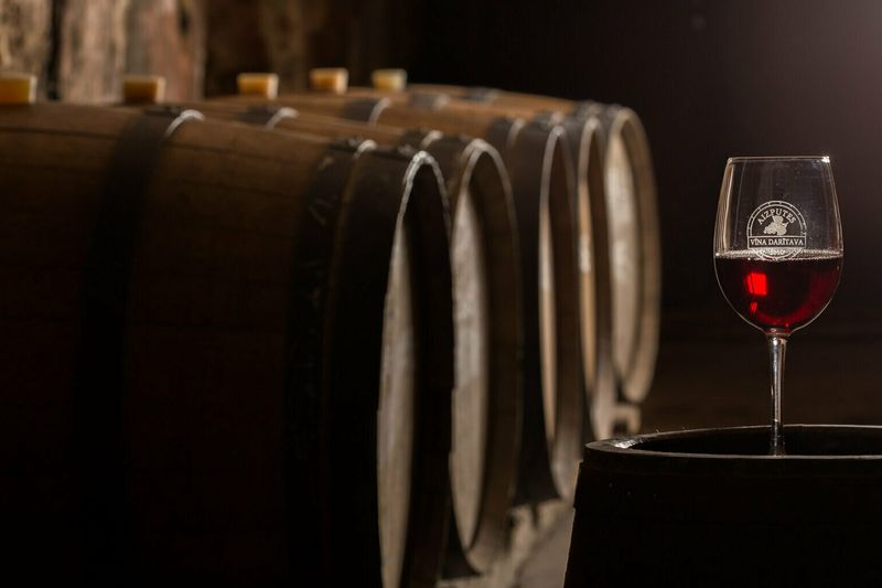 Sidro ir vyno turas Latvijoje per Palangą