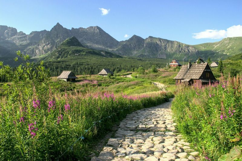 Vilanovo rūmai – Tatrų kalnai - Zakopanė – Ojcovo nacionalinis parkas 3d./2n.