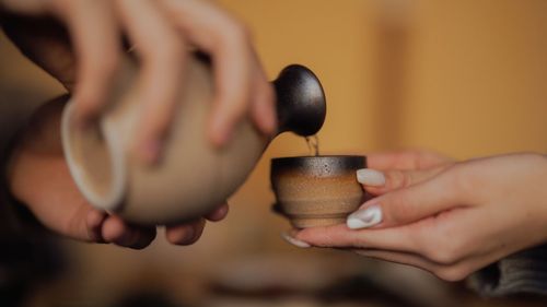 JAPONIJA: KAI ŽYDI SAKUROS