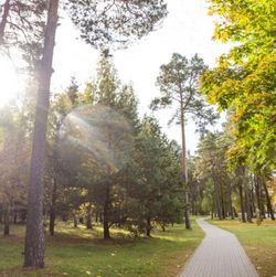 Visit Kazlų Rūda  and experience THE LUXURY OF BEING IN  NATURE