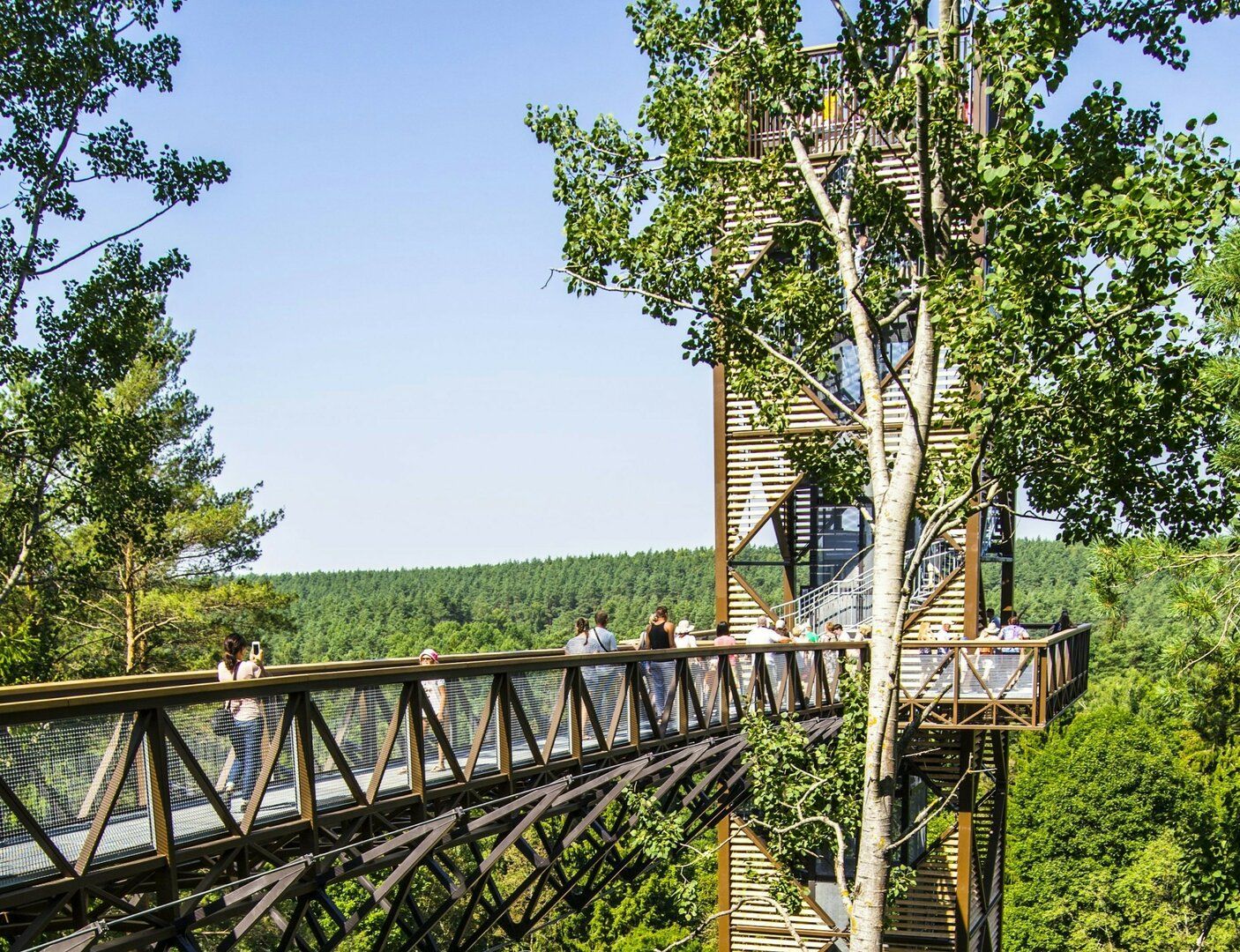 Medžių Lajų takas