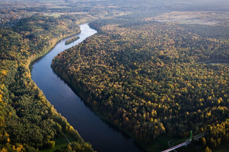 Pažintinė-degustacinė kelionė autobusu: dzūkiškos bandos – Punia – Alytus – Šampano degustacija