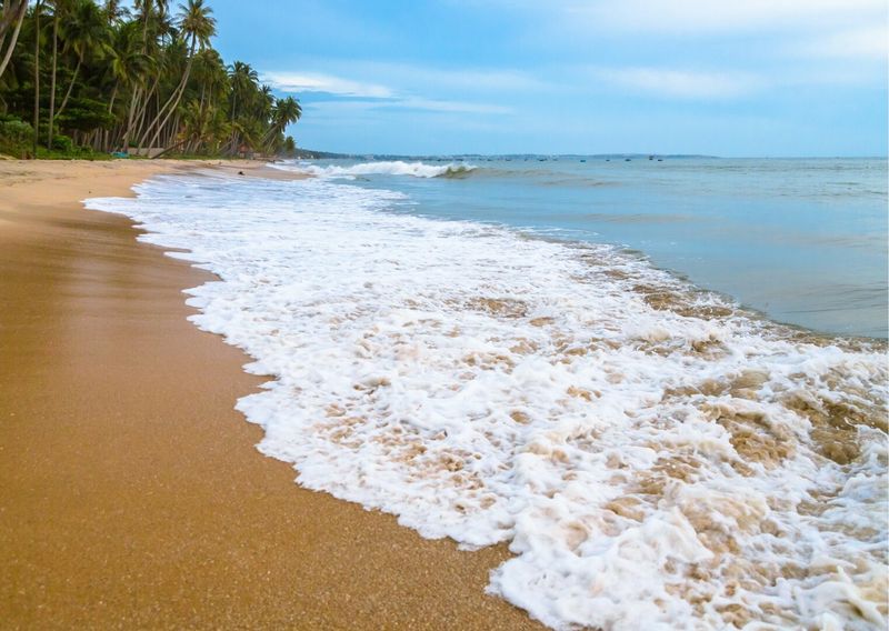 Bendra informacija apie Vietnamą