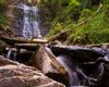 tour_photo_thumbnail