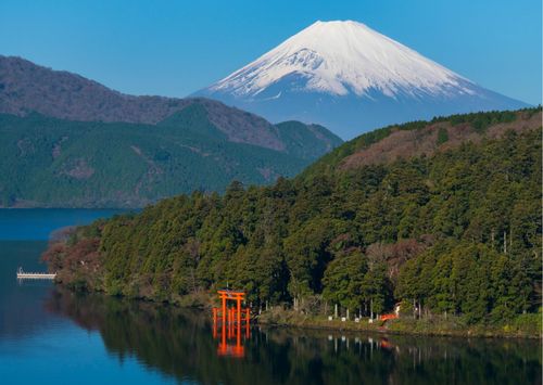 JAPONIJA: KAI ŽYDI SAKUROS