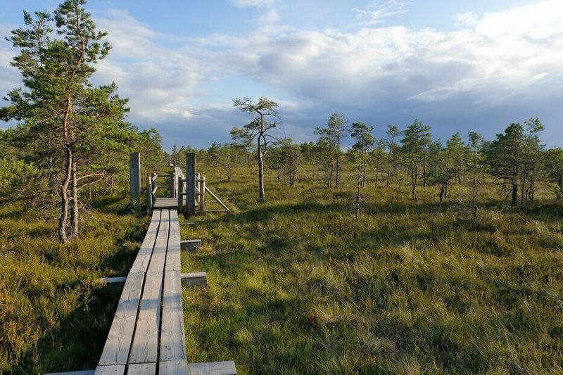 Pažintinė verslo kelionė kolektyvams po Latviją: Nacionalinis parkas - Rododendrų žiedai - plaukimas upe
