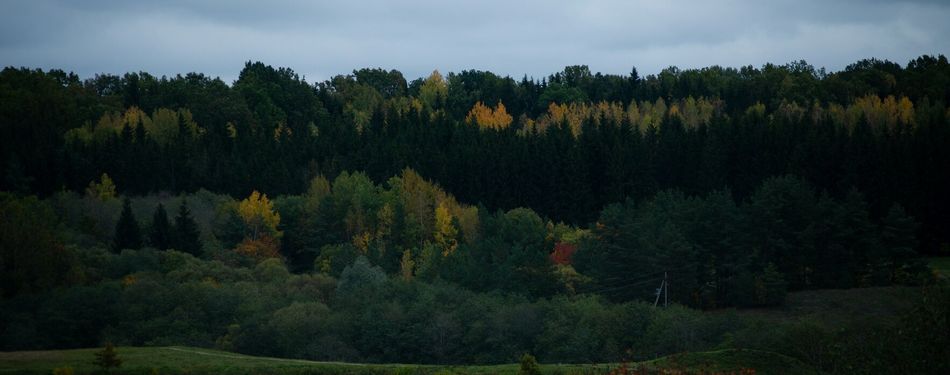 5 etnografiniai Lietuvos regionai: ką pamatyti kiekviename?