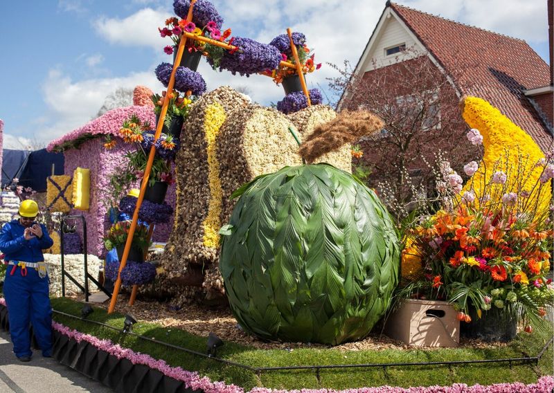 Gėlių paradas Olandijoje. Arba pavasaris, kuris kvepia žiedlapiais