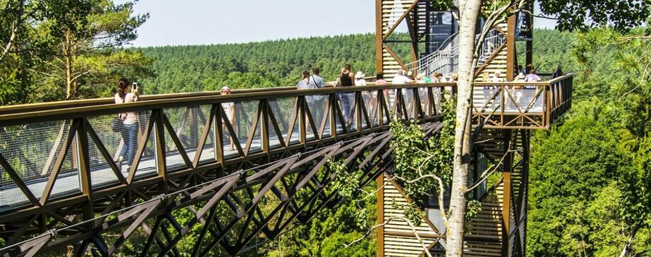 Anykščiai: pramogos, restoranai ir nakvynės vietos