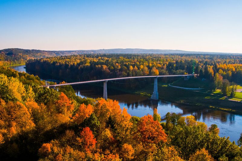 Dzūkiškos bandos – ekskursija Alytuje – Šampano degustacija
