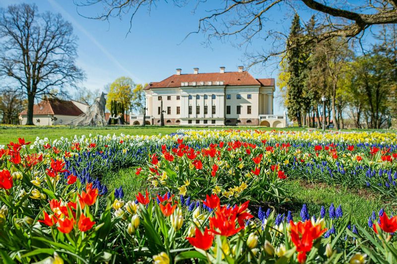 Pažintinė vienos dienos kelionė autobusu į pavasario gėlių festivalį ir Kuršėnų vyniotinio degustaciją