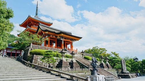 JAPONIJA: KAI ŽYDI SAKUROS