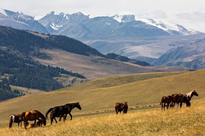Ką pamatyti Kazachstane