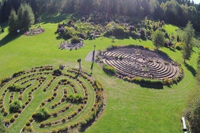 Pažintinė kelionė po Platelių kraštą: Bičių ūkis su degustacija – energetinių labirintų parkas – žemaitiški patiekalai – plaukimas katamaranu